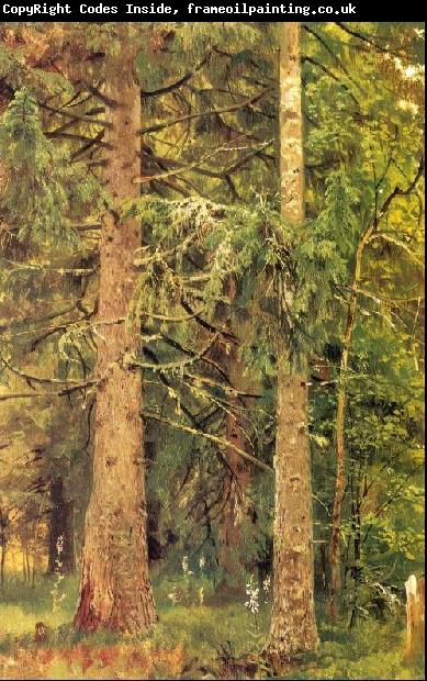 Ivan Shishkin Fir Forest